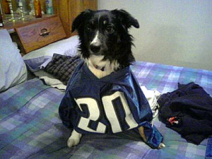 Chase needed help learning to be a team player.