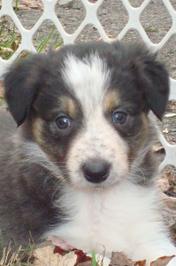 Mick, before I knew he was mine.